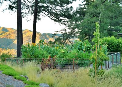 Vegetable garden and edible beds in Napa Valley estate landscape maintenance.