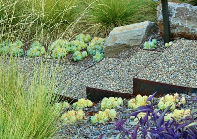 Succulents and ornamental grasses in a Penning Landscapes maintenance design.