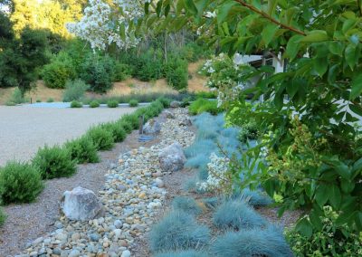 Penning Landscapes maintenance: Napa Valley garden with ornamental grasses, stone pathway, and flowering shrubs.