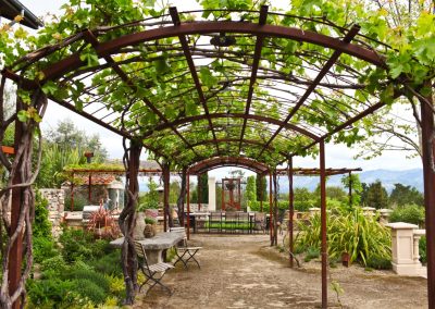 Winery trellis and plantings showcasing Penning Landscapes maintenance expertise.